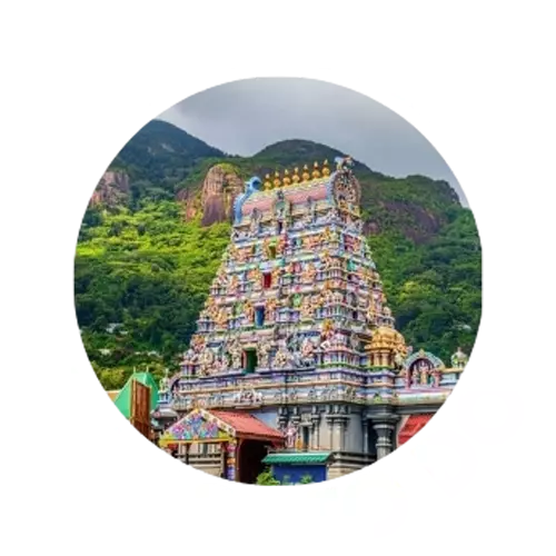 Seychelles Things To Do: Let your island adventure begin
